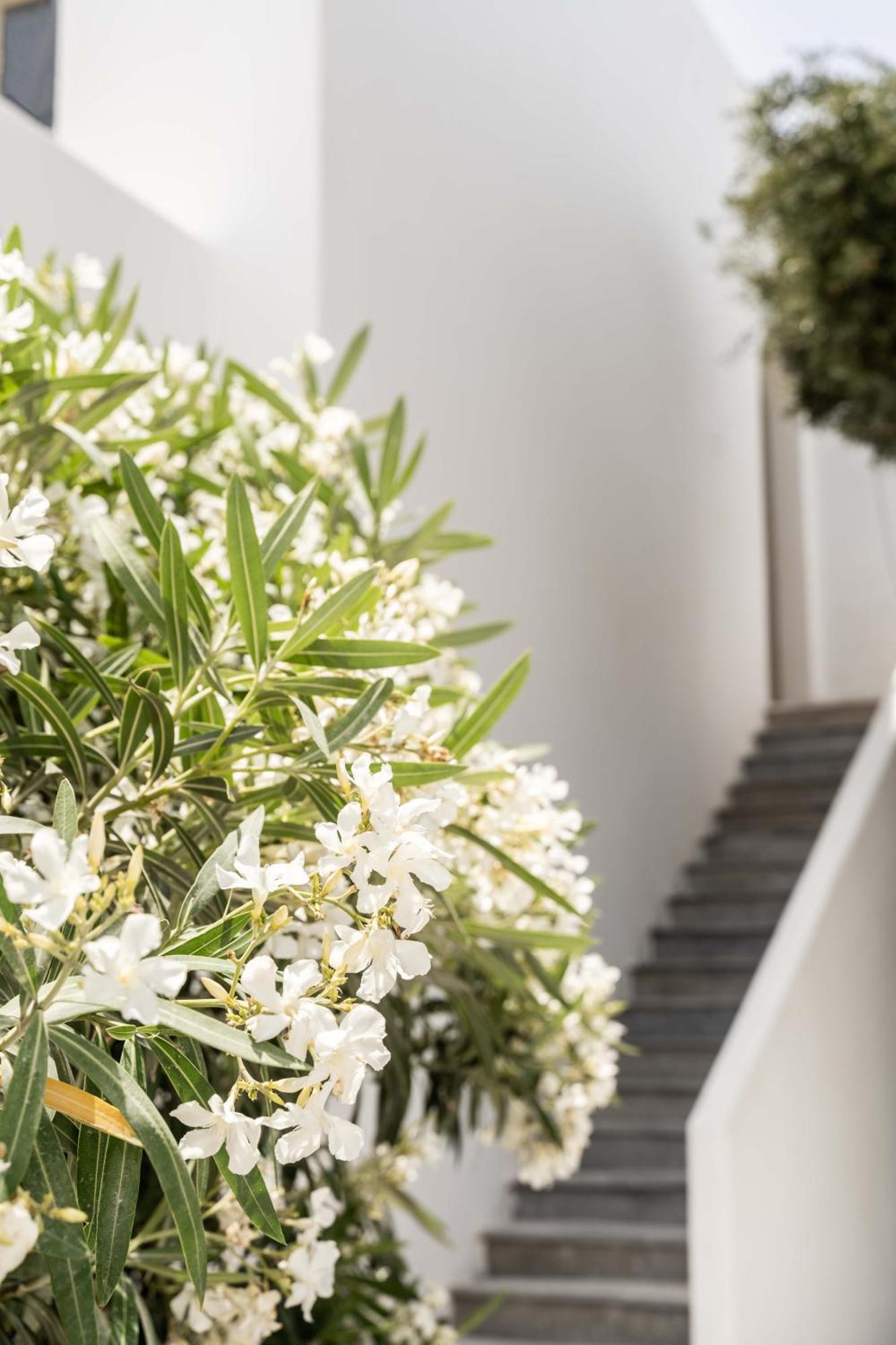 Philosophy Of Mykonos Boutique Hotel Mykonos Town Экстерьер фото